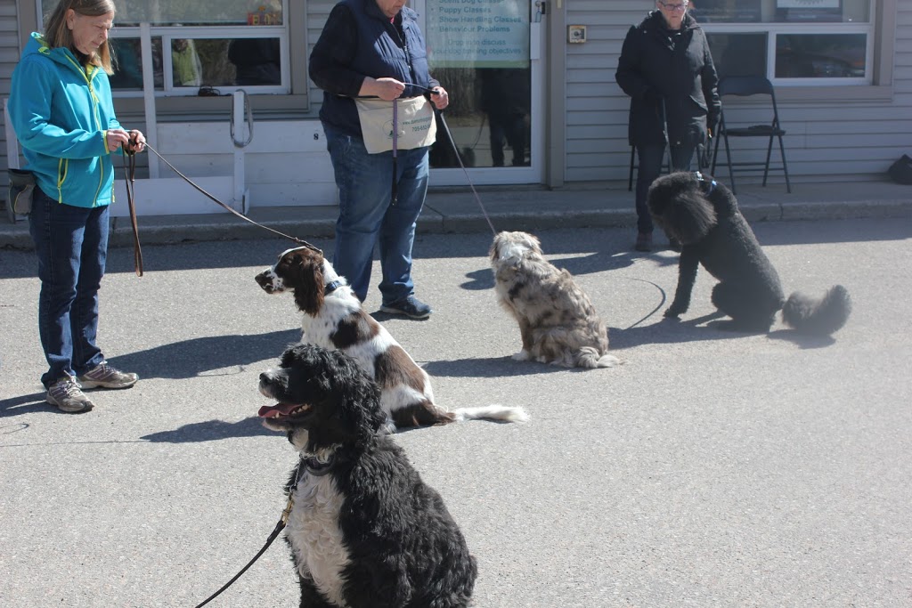 Due North Dog Training | 3347 Lakefield Rd, Lakefield, ON K0L 2H0, Canada | Phone: (705) 652-0682