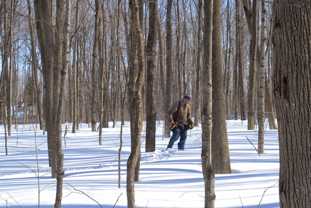 Cabane à Sucre St-Pierre & Famille Maple Sugar Camp | 20699 Stormont, Dundas and Glengarry County Road 2, Lancaster, ON K0C 1N0, Canada | Phone: (613) 347-2077