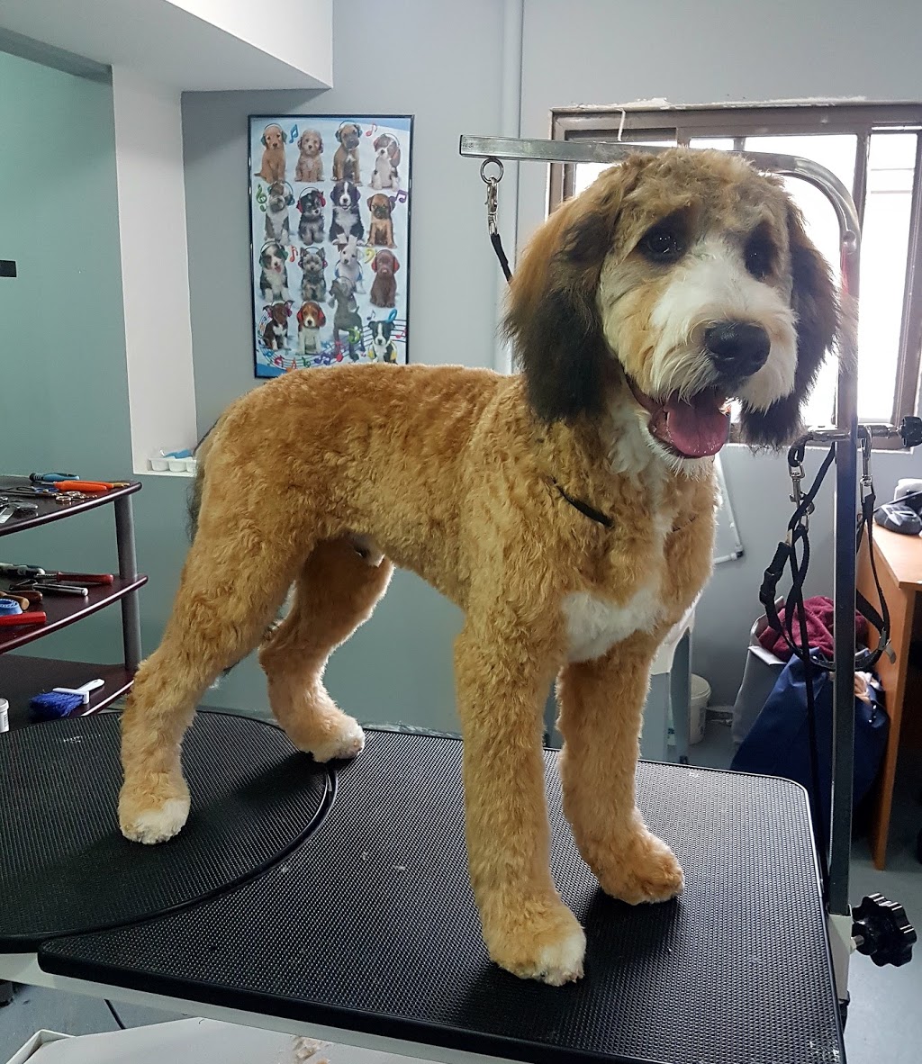 Fancy Feet Pet Styling by Sara | 7-24493 St Clair Rd, Chatham, ON N7M 5J2, Canada | Phone: (519) 401-4960