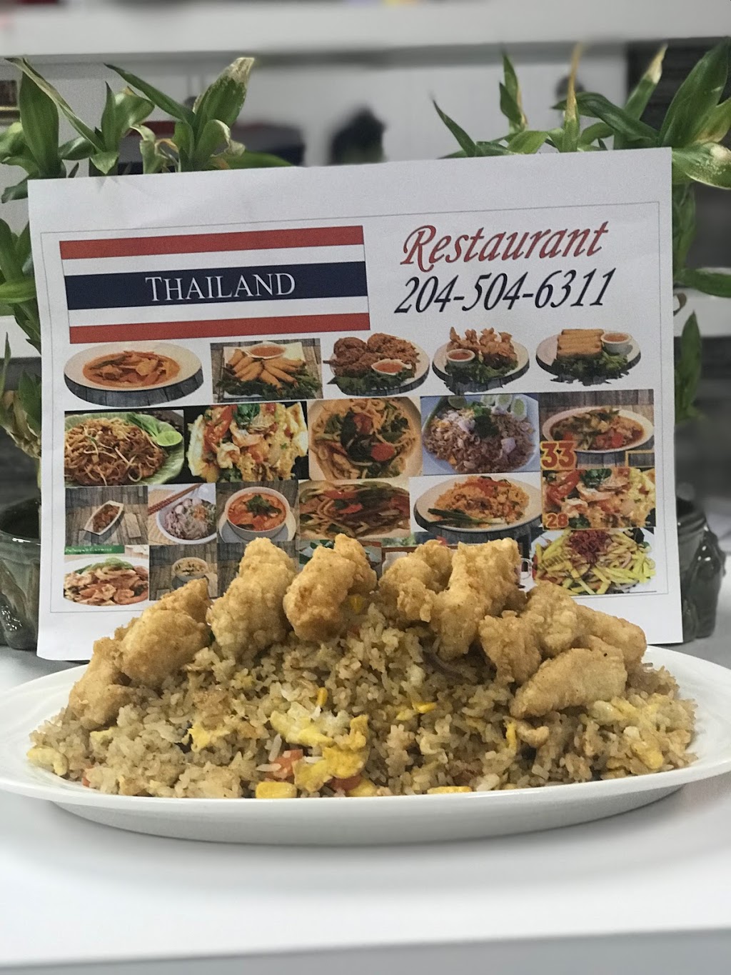 Thailand Foods 1619 | 617 Selkirk Ave, Winnipeg, MB R2W 2N2, Canada | Phone: (204) 504-6311