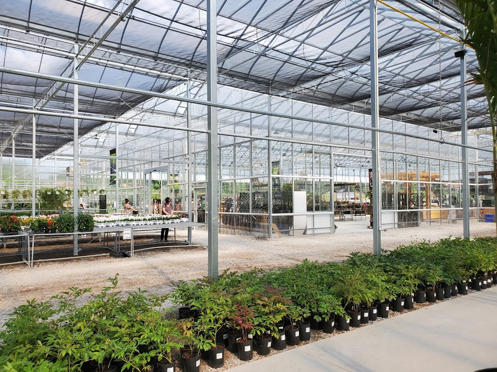 Connon Nurseries | 1870 Davis Dr W, Newmarket, ON L3Y 4V9, Canada | Phone: (289) 803-8088