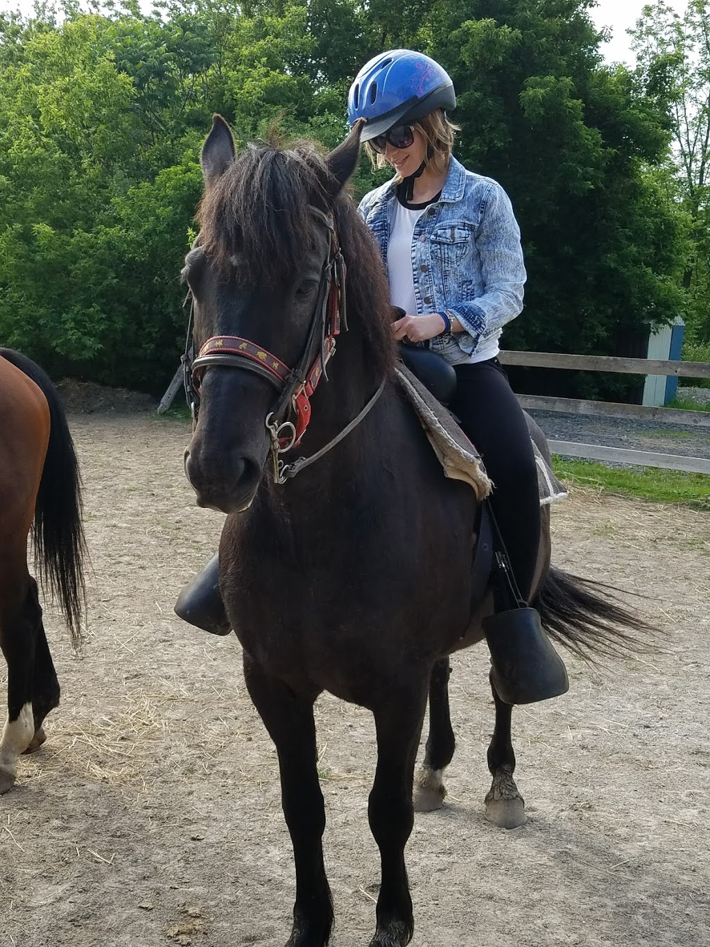 Niagara Riding Stables | 471 Warner Rd, Niagara-on-the-Lake, ON L0S 1J0, Canada | Phone: (905) 262-5101