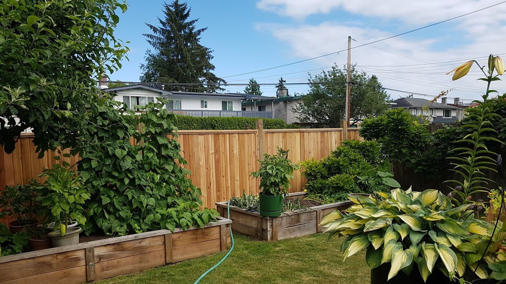 Ladner cedar fencing | 4550 Edmonds Dr, Delta, BC V4K 1M9, Canada | Phone: (604) 720-1782