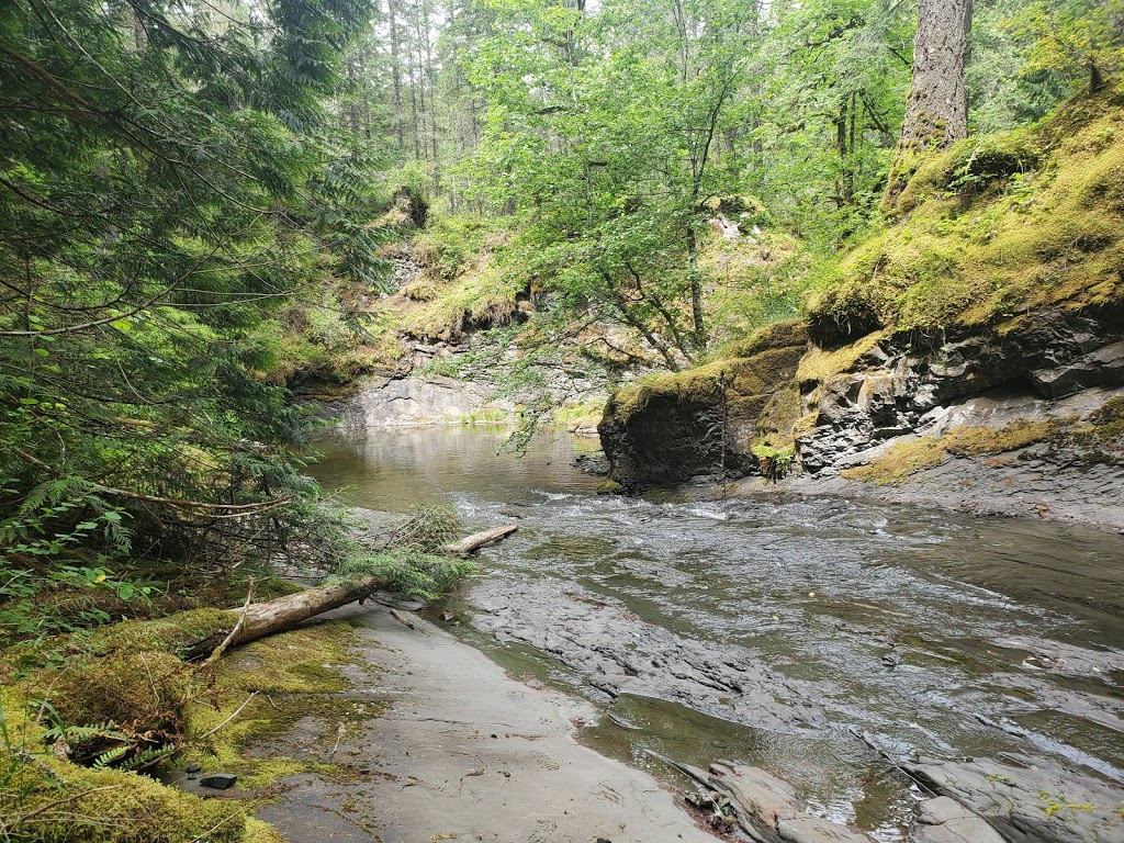 Benson Creek Falls Regional Park | Doumont Rd & Weigles Rd, Nanaimo, BC V9T 6H1, Canada | Phone: (250) 248-3252