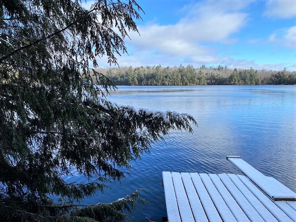 Le Chalet à louer Le Caméléon | 72 Rue du Tour du Lac, Gore, QC J0V 1K0, Canada | Phone: (450) 501-6614