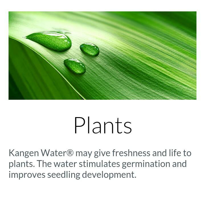 KANGEN WATER DISTRIBUTOR-HYDRATION SPECIALIST ERW-OTTAWA | 46 Locheland Crescent, Nepean, ON K2G 6H1, Canada | Phone: (613) 261-1489