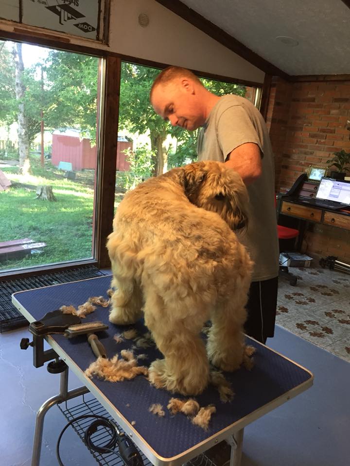 Cut & Print Dog Grooming | 11 Smythe St, St. Catharines, ON L2P 2G9, Canada | Phone: (289) 696-6289