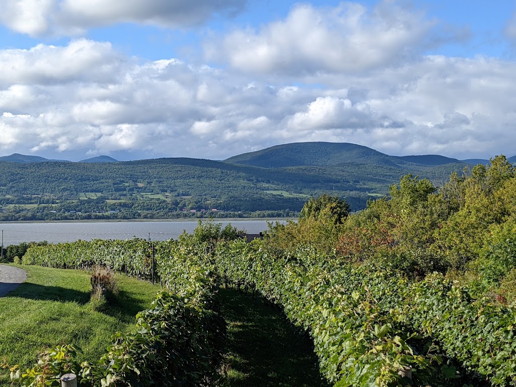 Le Vignoble du Mitan | 2608 Chem. Royal, Sainte-Famille, QC G0A 3P0, Canada | Phone: (418) 829-0901