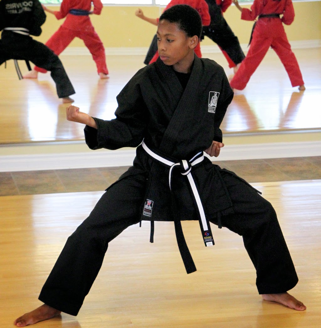 Douvris Martial Arts, Karate, Kickboxing - Kanata | 220 Terence Matthews Crescent, Kanata, ON K2M 0E2, Canada | Phone: (613) 234-5000