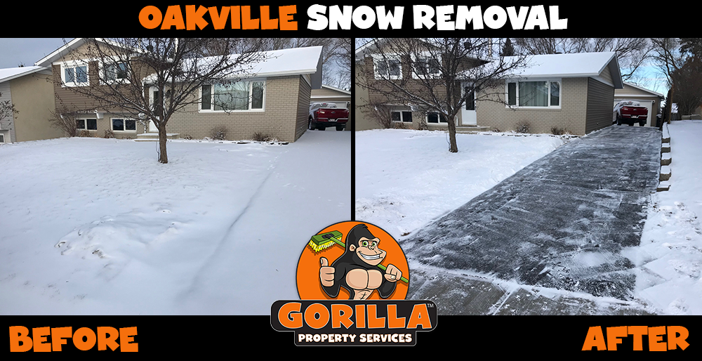 Gorilla Property Services | 519 Dundas St W Unit 5 Suite 412, Oakville, ON L6W 5K3, Canada | Phone: (905) 963-9059