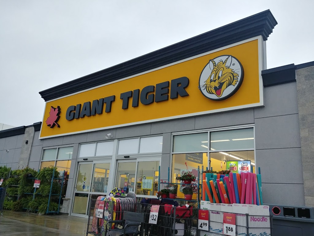 Giant Tiger | 1175 Hyde Park Rd, London, ON N6H 5K6, Canada | Phone: (519) 473-8911