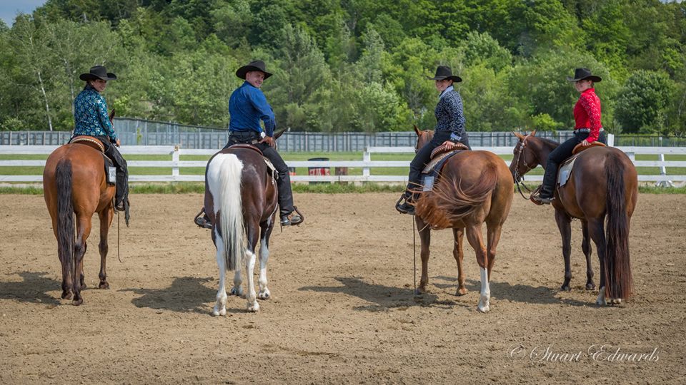 Écurie Manoir | 67 Rang de la Côte Double, Sainte-Angèle-de-Monnoir, QC J0L 1P0, Canada | Phone: (450) 777-6807