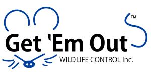 Get Em Out Wildlife Control Inc. | 23 Slate St, Ottawa, ON K2S 1Y7, Canada | Phone: (161) 385-26423