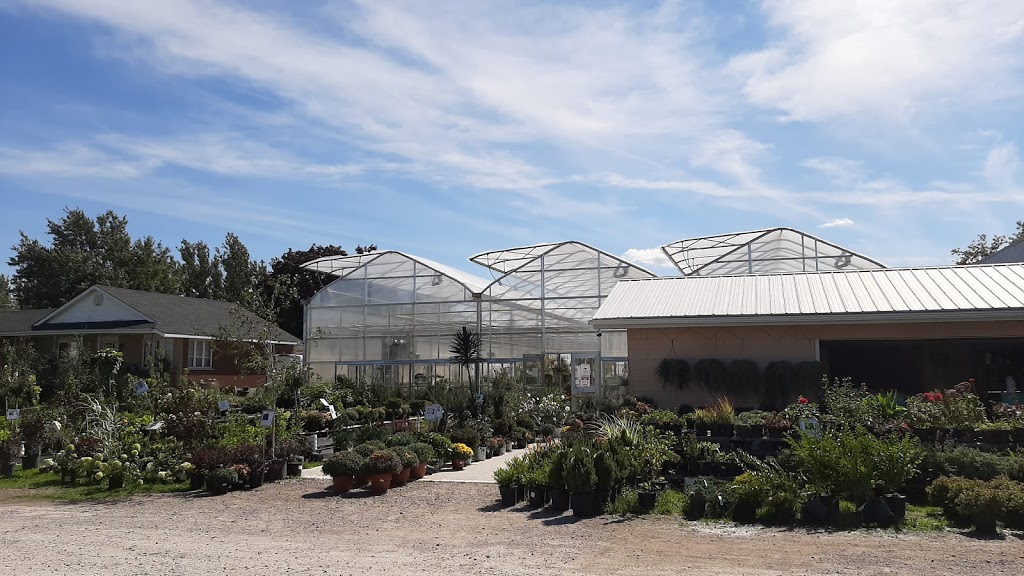 Scotts, J & D Greenhouses | 160 Huron Rd, Mitchell, ON N0K 1N0, Canada | Phone: (519) 348-8343