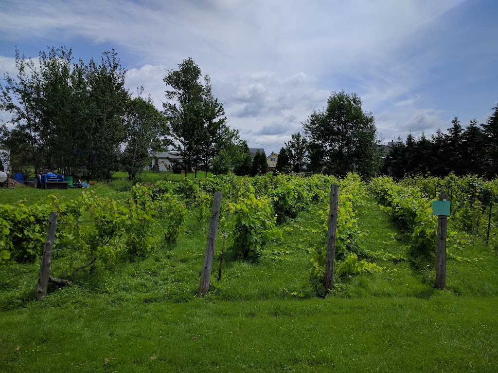 Le Nordet - Vignoble & Cidrerie | 991 Chem. des Îles, Pintendre, QC G6C 1B5, Canada | Phone: (418) 833-7183