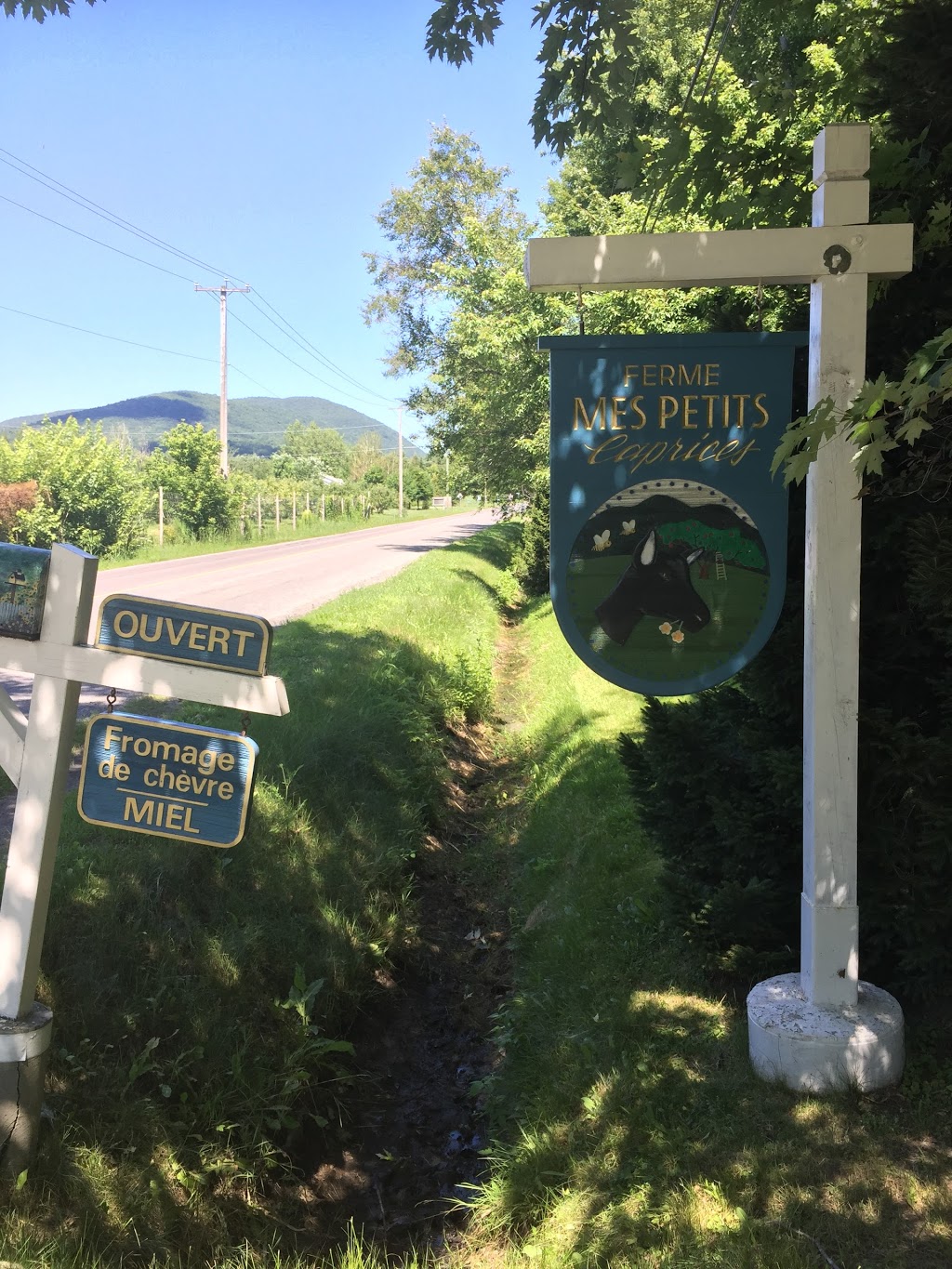 Ferme Mes petits caprices | 4395 Rang des Étangs, Saint-Jean-Baptiste, QC J0L 2B0, Canada | Phone: (450) 467-3991