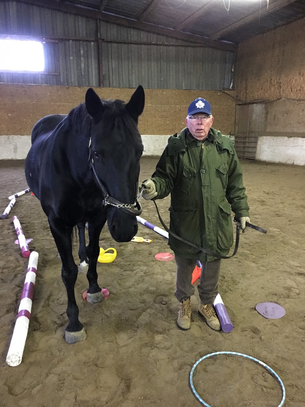 Horse Logic Equine Assisted Learning Centre | 12472 Chinguacousy Rd, Caledon, ON L7C 1Y9, Canada | Phone: (905) 867-8381