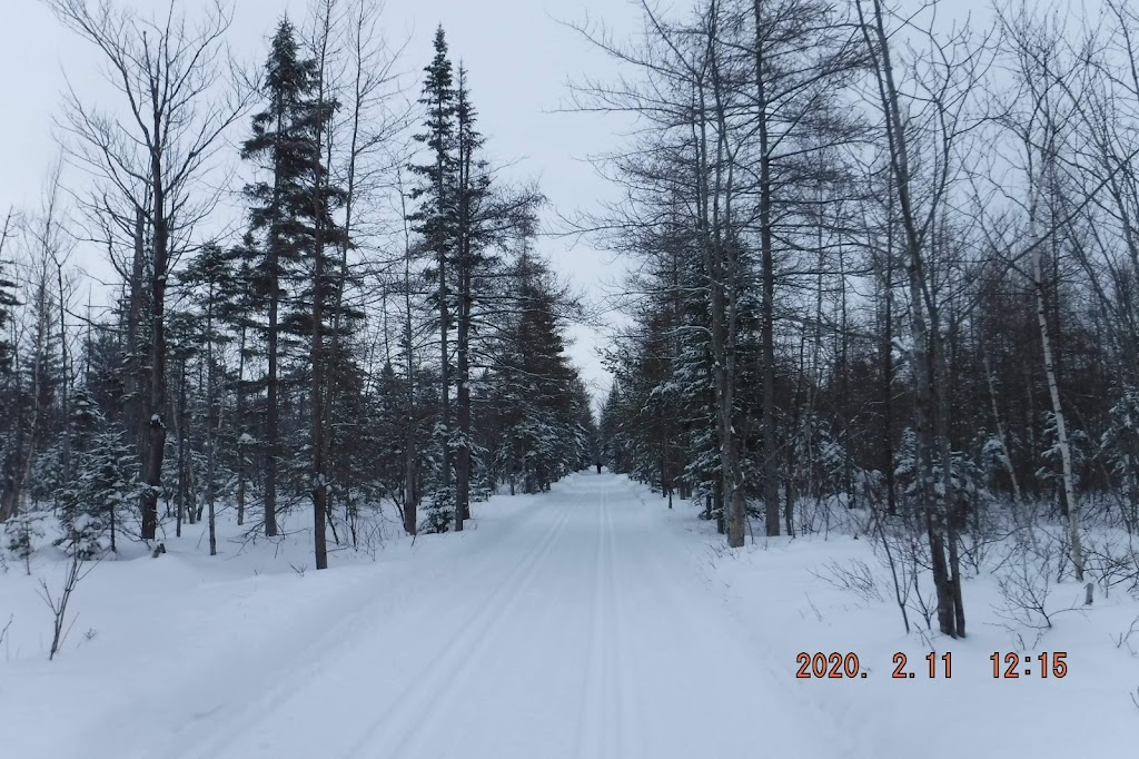 Club de Ski Bord de lEau | 96 Rte du Président-Kennedy, Saint-Henri, QC G0R 3E0, Canada | Phone: (418) 882-0639