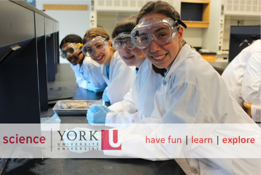 York University, Science Engagement Programs | 4700, Lumbers Building, 355 Keele St, North York, ON M3J 1P3, Canada | Phone: (647) 334-3549