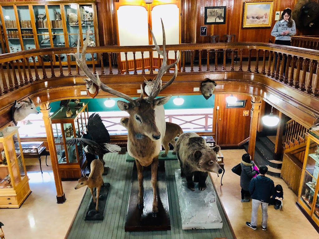 Banff Park Museum National Historic Site | 91 Banff Ave, Banff, AB T1L 1K2, Canada | Phone: (403) 762-1558