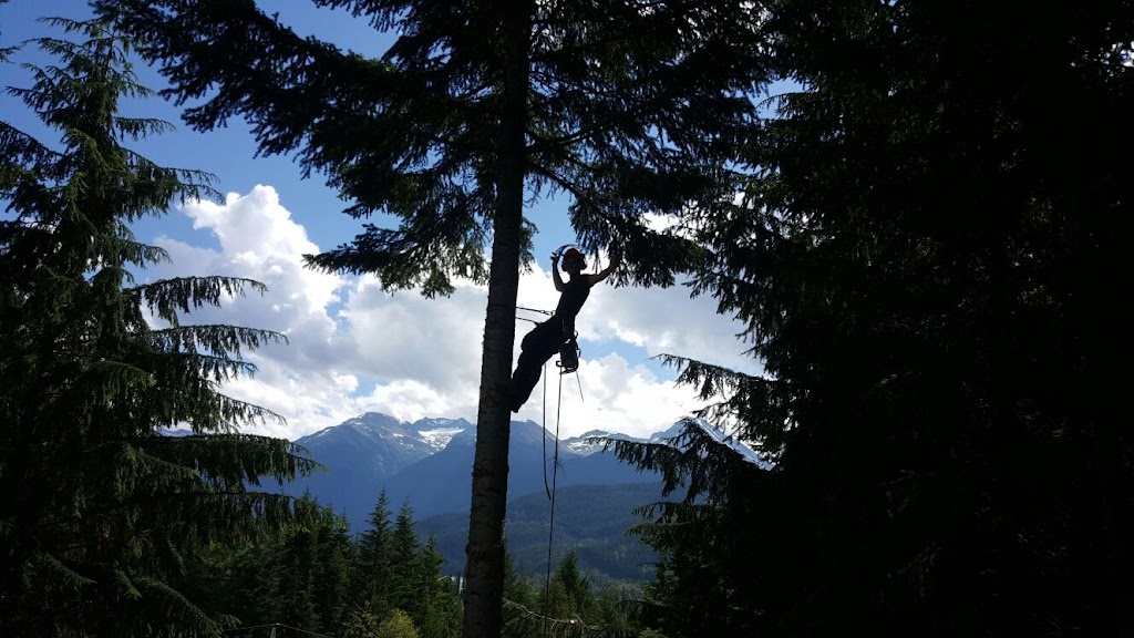 Windfirm Tree Services Ltd | Box 431, 38064 Cleveland Ave, Squamish, BC V8B 0A4, Canada | Phone: (604) 892-7587