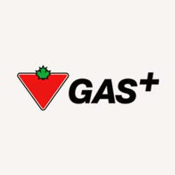 Canadian Tire Gas+ - Cambridge North | 239 Fountain St S, Cambridge, ON N3H 1J2, Canada | Phone: (519) 653-4228
