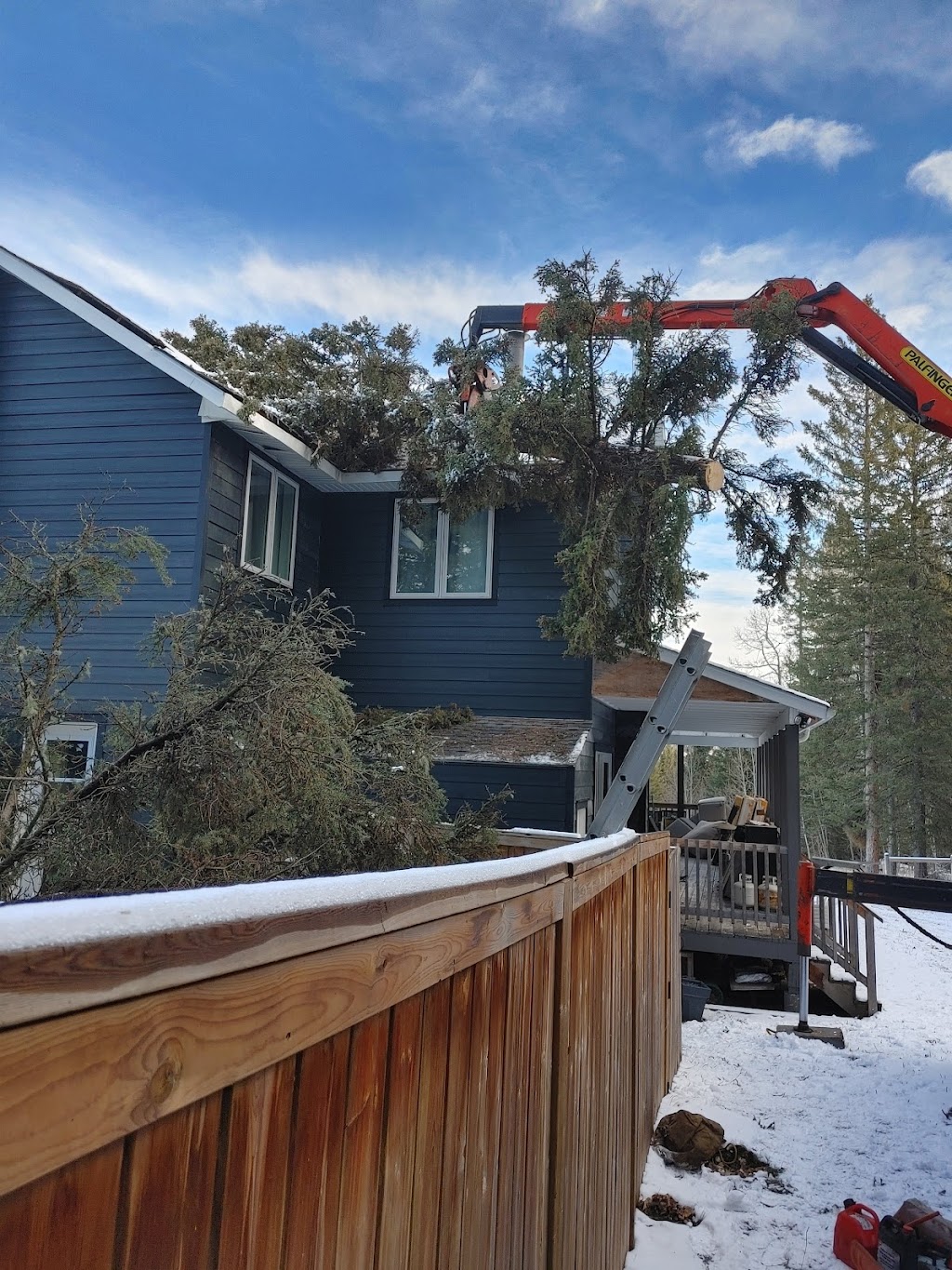 Calgary Tree Cutting | 2212 Palliser Dr SW, Calgary, AB T2V 3S3, Canada | Phone: (403) 601-0376