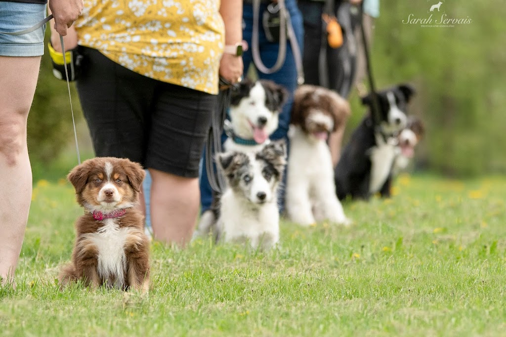 Équi-Canin | 11840 Chem. de la Rivière du N, Mirabel, QC J7N 1H8, Canada | Phone: (450) 275-1772