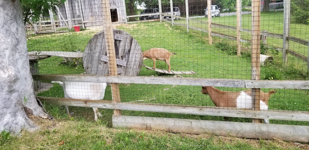 Stables At Windreach | 312 Townline Rd, Ashburn, ON L0B 1A0, Canada | Phone: (905) 655-0889