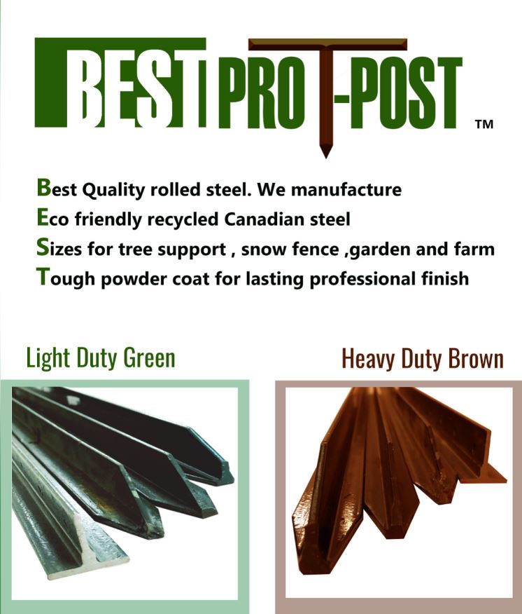 Best Pro T-post | 443 Sherman Ave N, Hamilton, ON L8L 6L8, Canada | Phone: (905) 544-4687