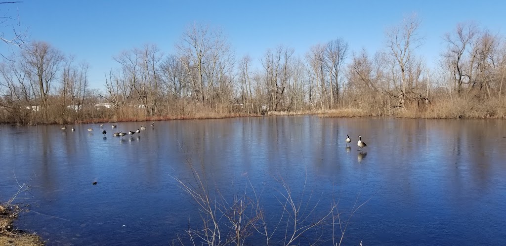 Sadlers Pond Nature Park | 182 Forest Ave, Essex, ON N8M 2G6, Canada | Phone: (519) 776-7336