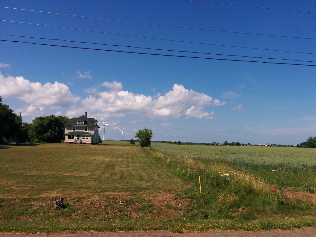 Green Turf Lawn Care | 301 All Weather Hwy, Summerside, PE C1N 5A6, Canada | Phone: (902) 436-3218