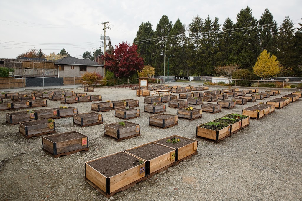 Cambie & 59th Temporary Community Garden | 7525 Cambie St, Vancouver, BC V6P 3H6, Canada | Phone: (778) 381-8337