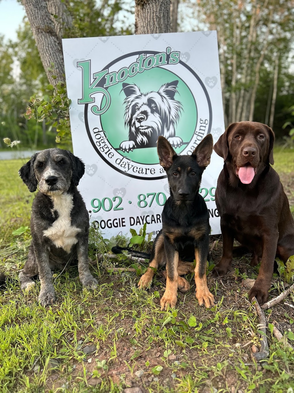 Knoctons Doggie Daycare and Boarding | 206 Dagger Woods Rd, Antigonish, NS B0H 1R0, Canada | Phone: (902) 870-7329