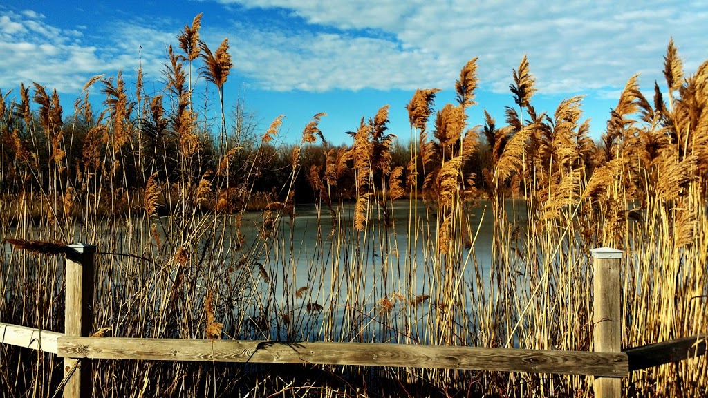 Wawanosh Wetlands Conservation Area | 6013 Blackwell Side Rd, Sarnia, ON N7X, Canada | Phone: (519) 245-3710