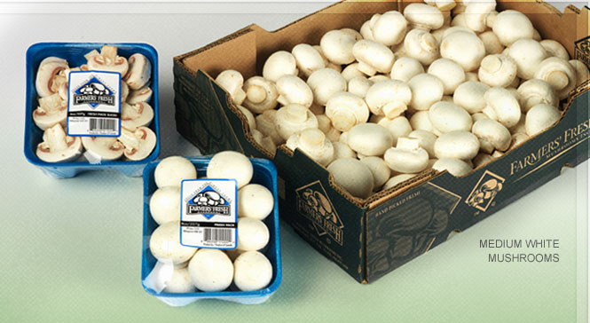 Farmers Fresh Mushrooms | 3555 Ross Rd, Abbotsford, BC V4X 1T1, Canada | Phone: (604) 857-5610