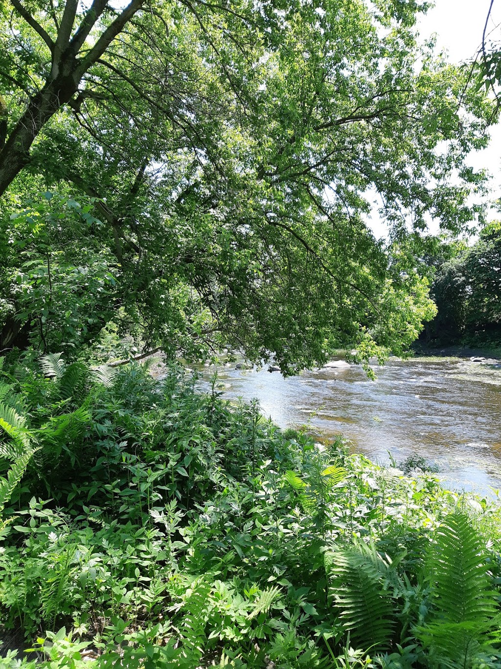 Sentier de la nature Keith-Sornberger | Bedford, QC J0J 1A0, Canada