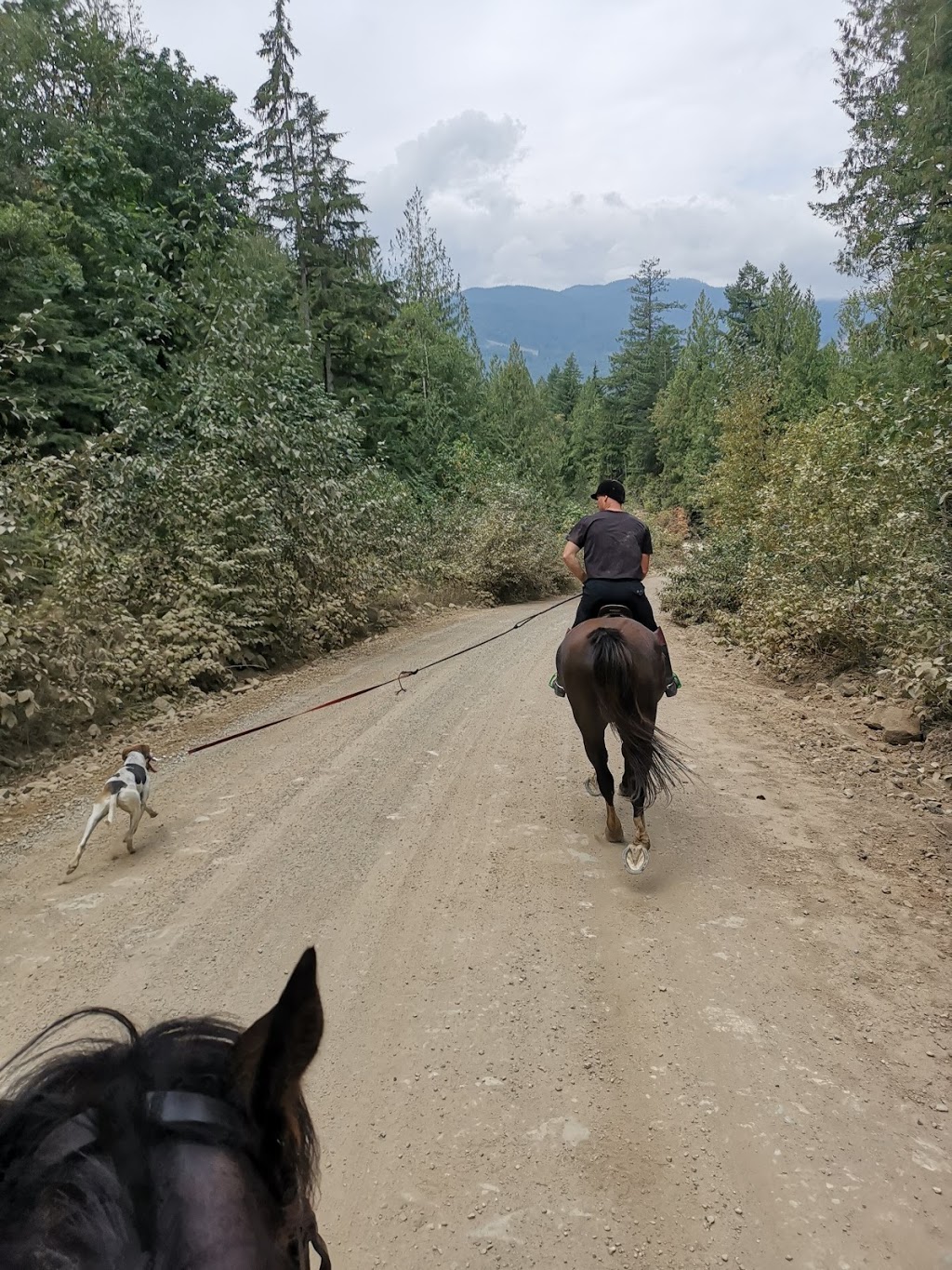 Fraser Valley Hunt | Metro Vancouver Regional District, 1388 272 St, Aldergrove, BC V4W 2P9, Canada | Phone: (604) 835-0845