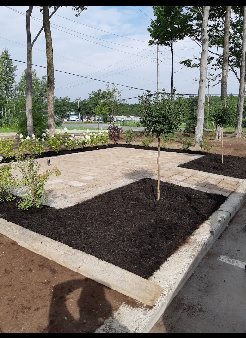 Springfield landscaping | 54 Rue de Beauharnois O, Montréal, QC H2N 1J5, Canada | Phone: (514) 594-0425