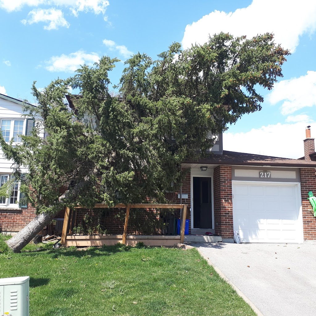 Francis Property and Tree Care | 2780 ON-35, Lindsay, ON K9V 4R4, Canada | Phone: (705) 241-9905