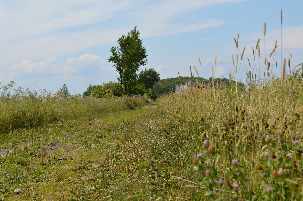 Equestrian Center Belle Rivière | 1463 Rang de la Belle-Rivière, Sainte-Julie, QC J3E 1Y2, Canada | Phone: (450) 922-2714