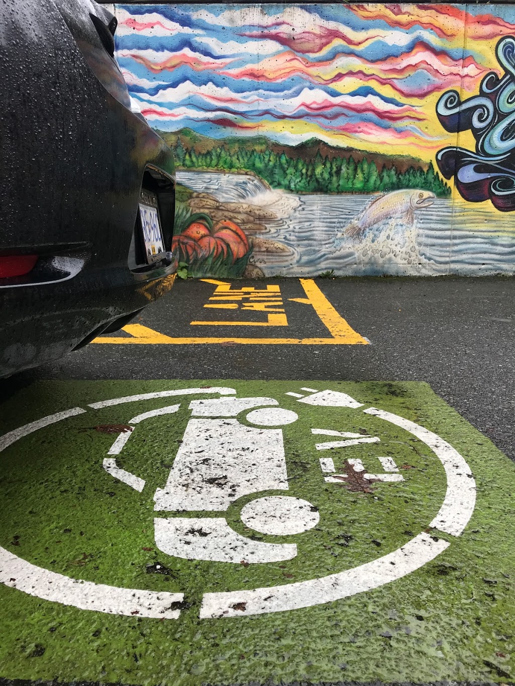 ChargePoint Charging Station | 330 Duncan St, Duncan, BC V9L 3W4, Canada | Phone: (888) 758-4389