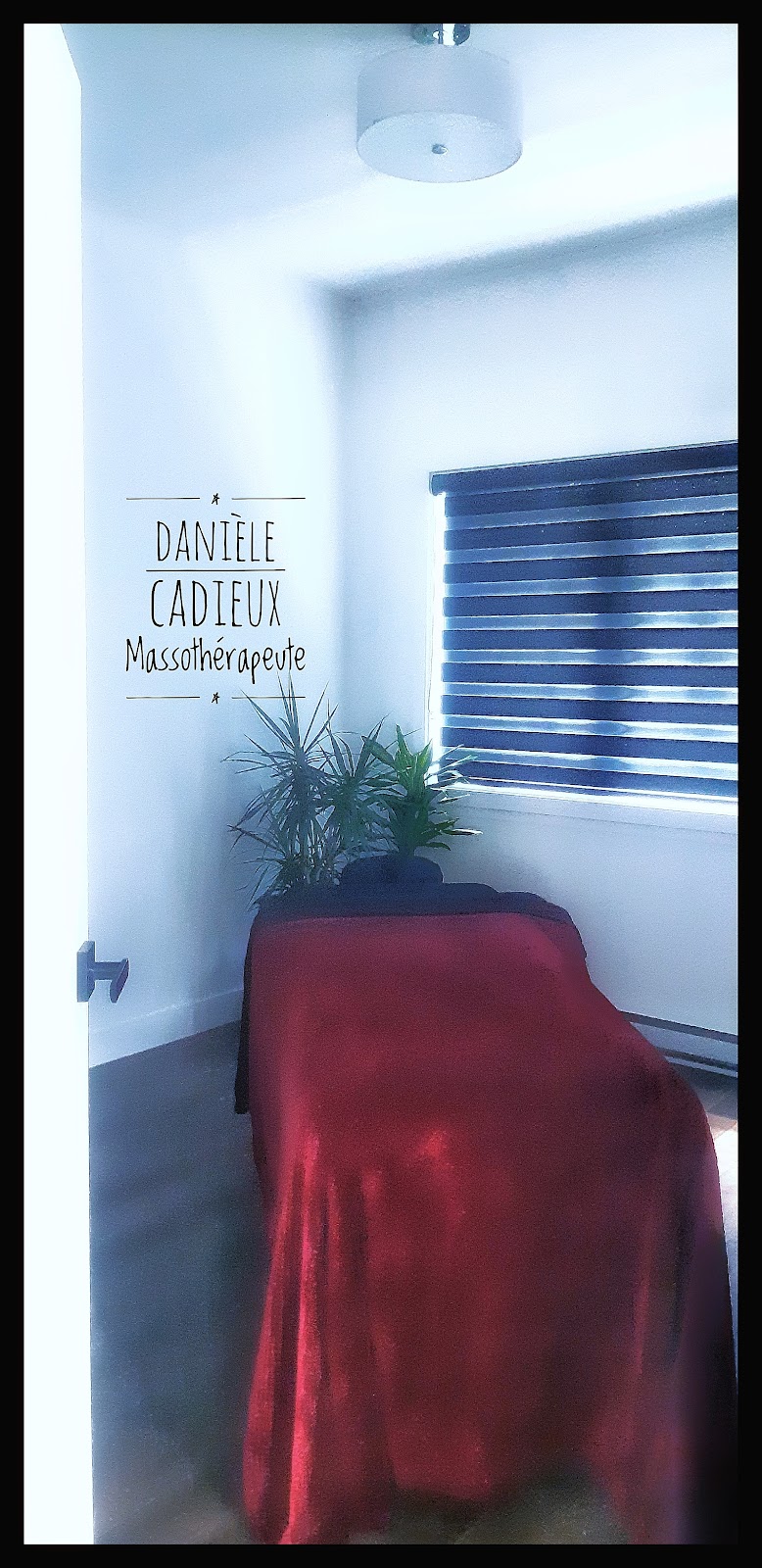 Danièle Cadieux, massothérapeute | 193 Rue Jules Monast, Cowansville, QC J2K 3W9, Canada | Phone: (438) 830-2923