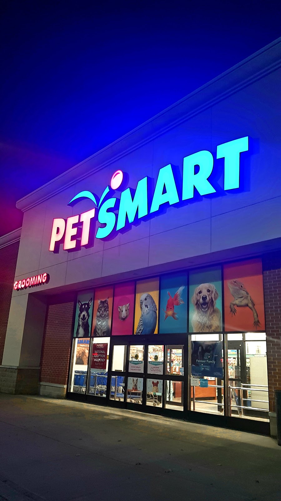 PetSmart | 1899 Brock Rd Unit 4, Pickering, ON L1V 4H7, Canada | Phone: (905) 426-7593