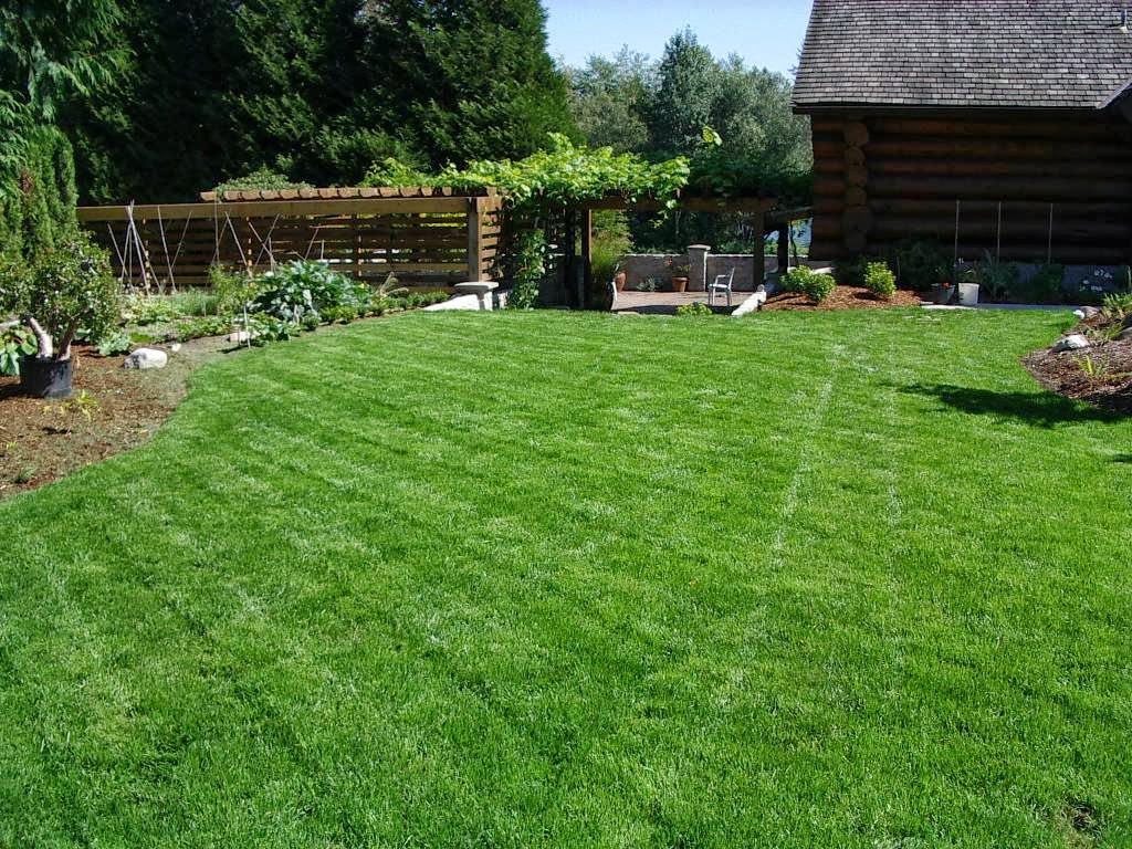 BC Instant Lawns and Landscapes | 3865 72 St, Delta, BC V4K 3N2, Canada | Phone: (604) 454-4954