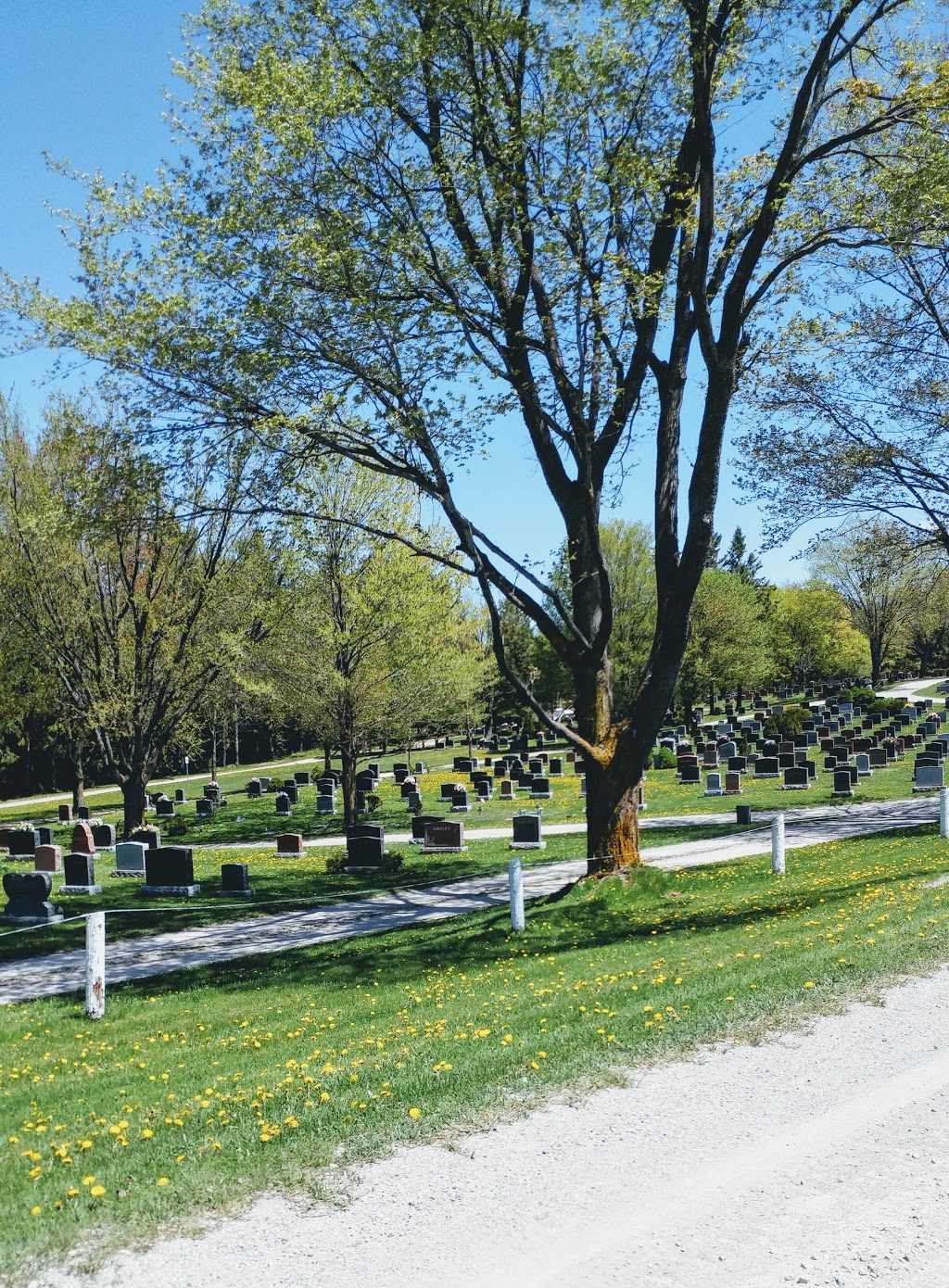 Shelburne Cemetery | 156035 ON-10, Shelburne, ON L0N 1S0, Canada | Phone: (519) 925-2600 ext. 238