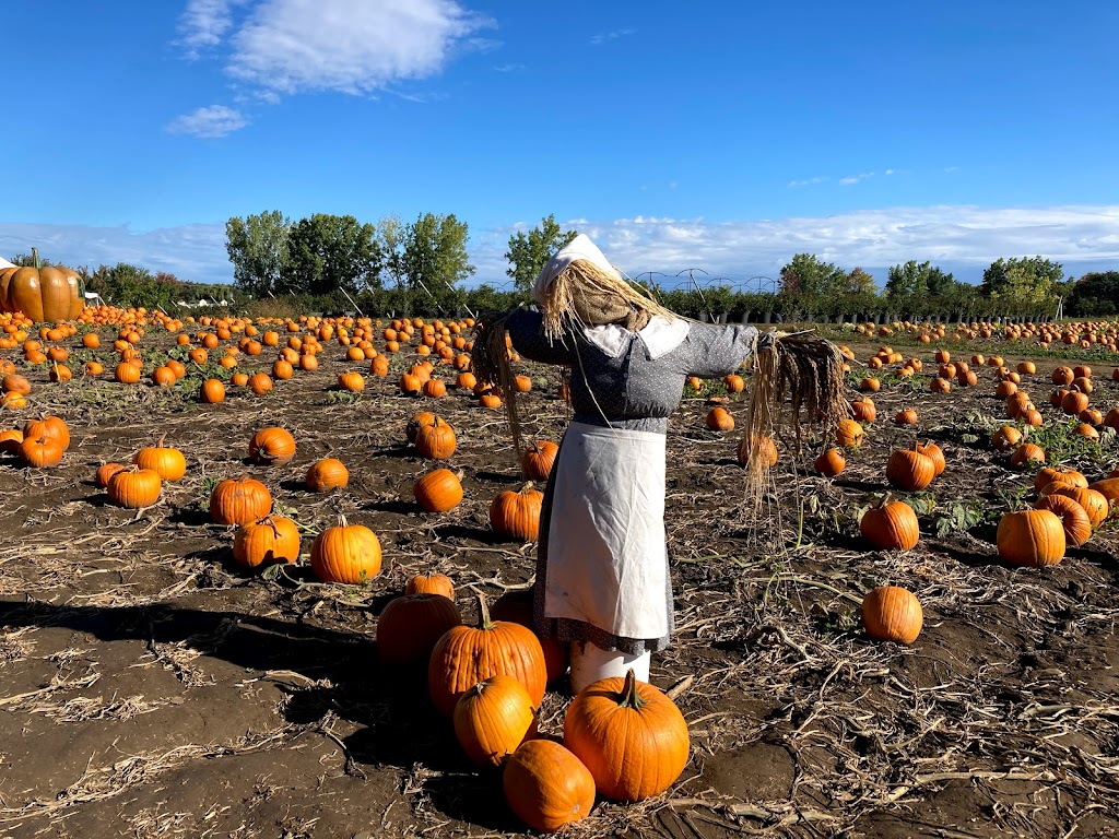 Ferme Marineau | 4356 Bd Dagenais O, Laval, QC H7R 1L5, Canada | Phone: (450) 689-9792