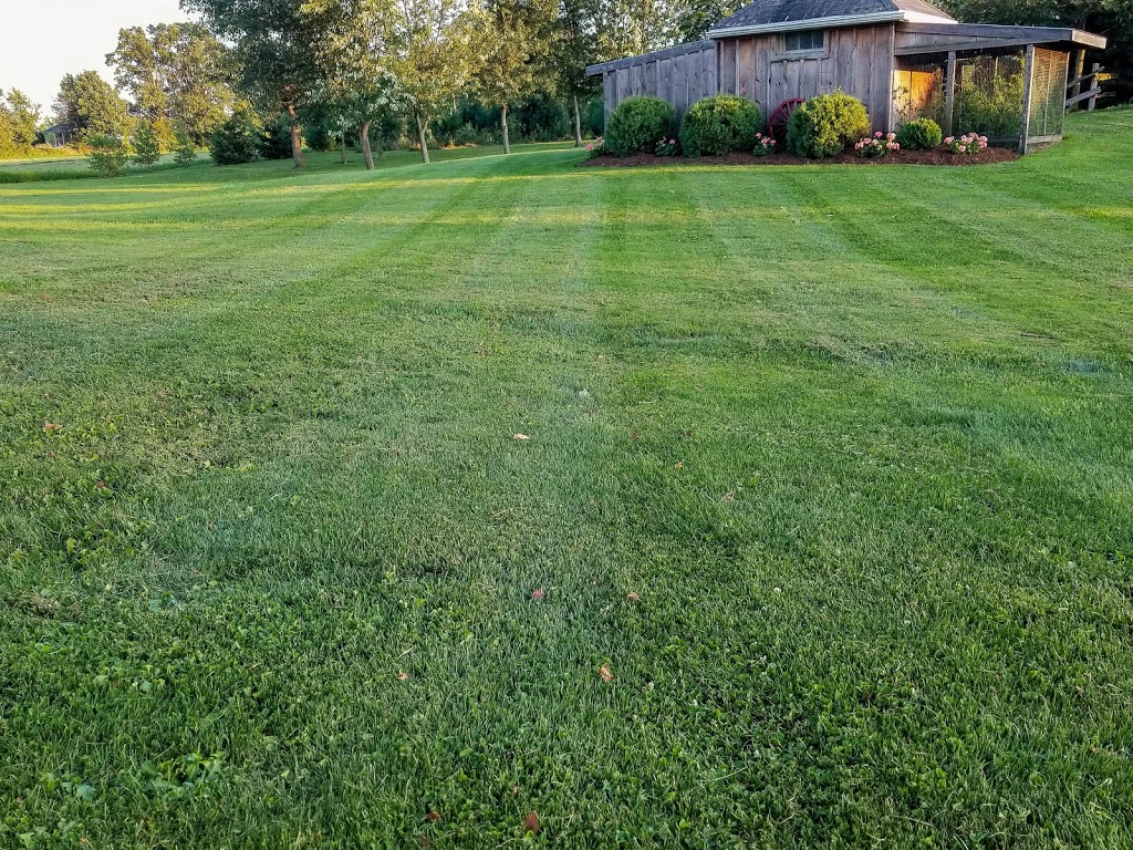 Outdoor Elements Landscaping | 1887 Hutchinson Rd, Dunnville, ON N1A 2W7, Canada | Phone: (289) 880-0907