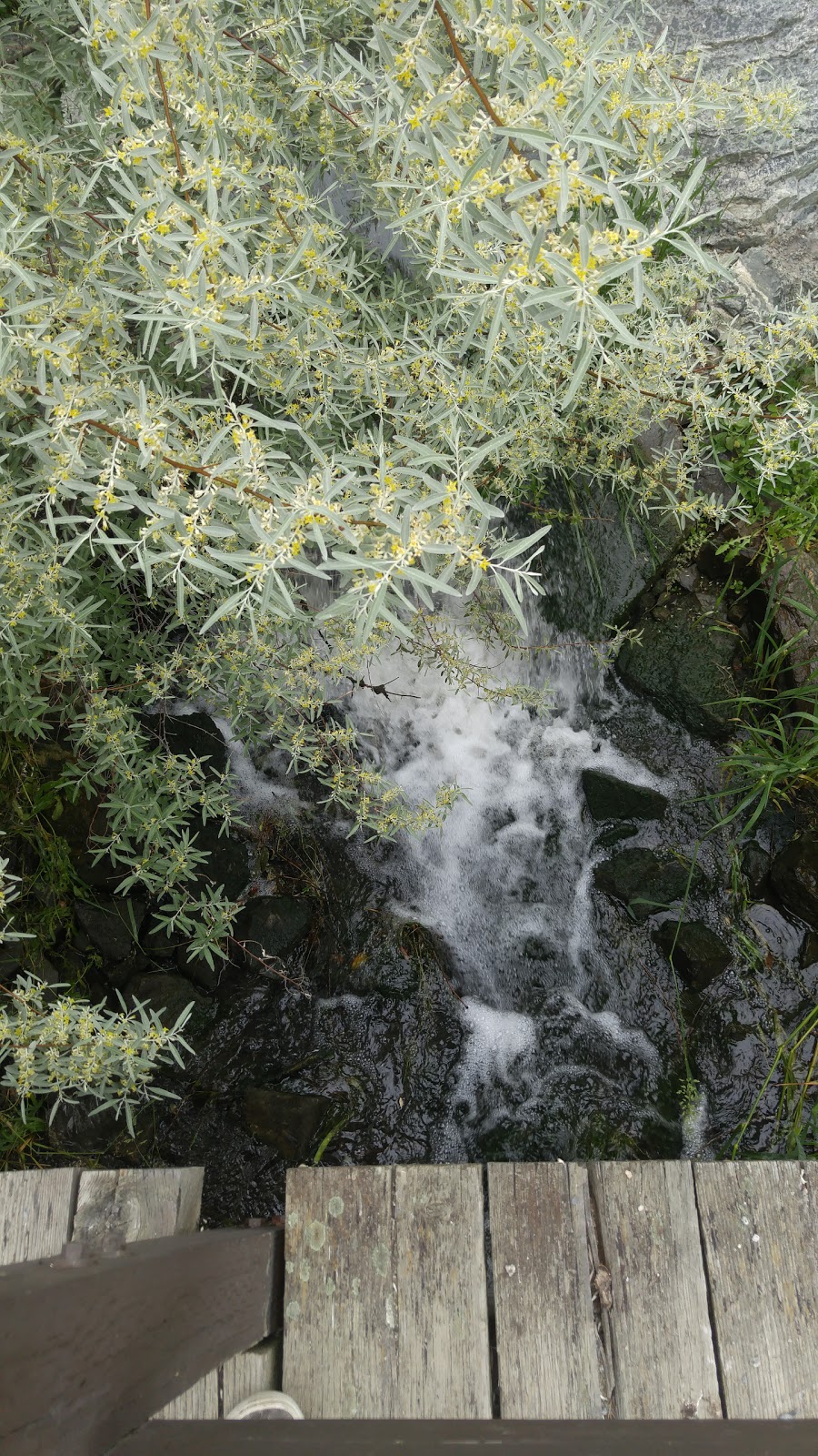 Brandts Creek Linear Park | Kelowna, BC V1V 1P2, Canada