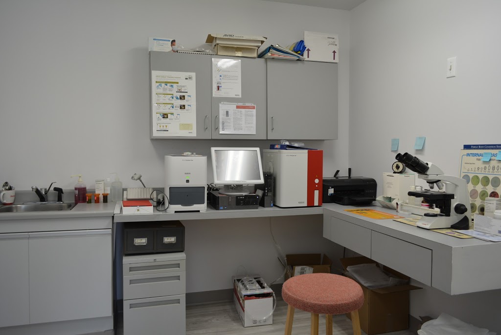 Clinique Vétérinaire King-George inc. - Longueuil | 92 Rue King-George, Longueuil, QC J4J 2V1, Canada | Phone: (450) 647-1837